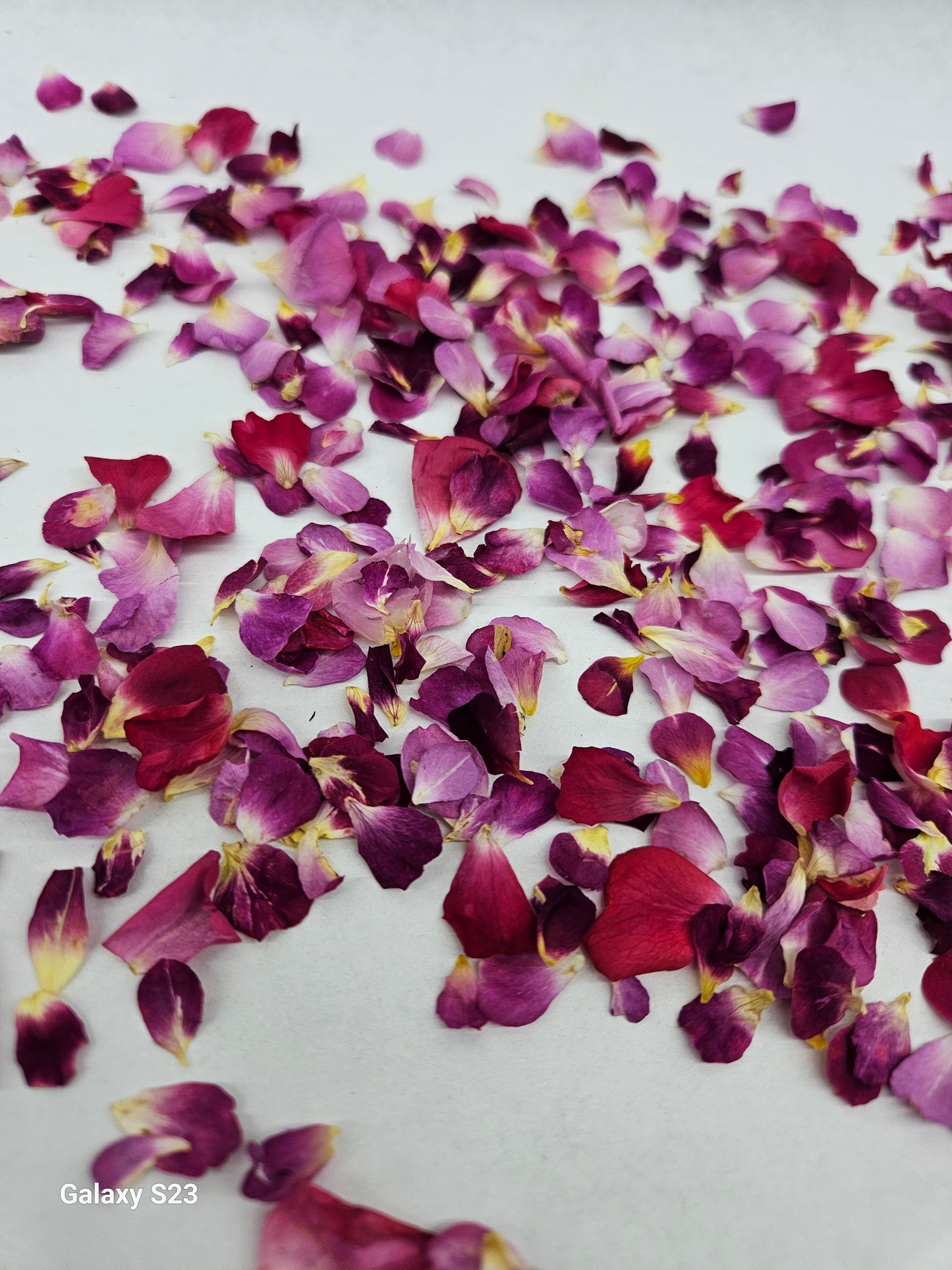 Edible Rose and Geranium Petals