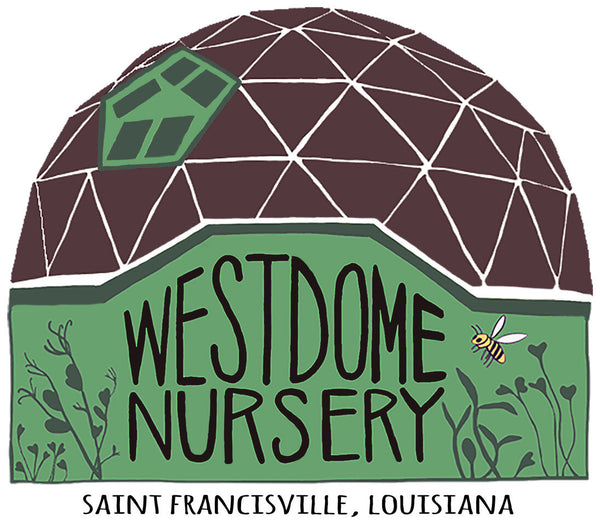 Westdome Nursery